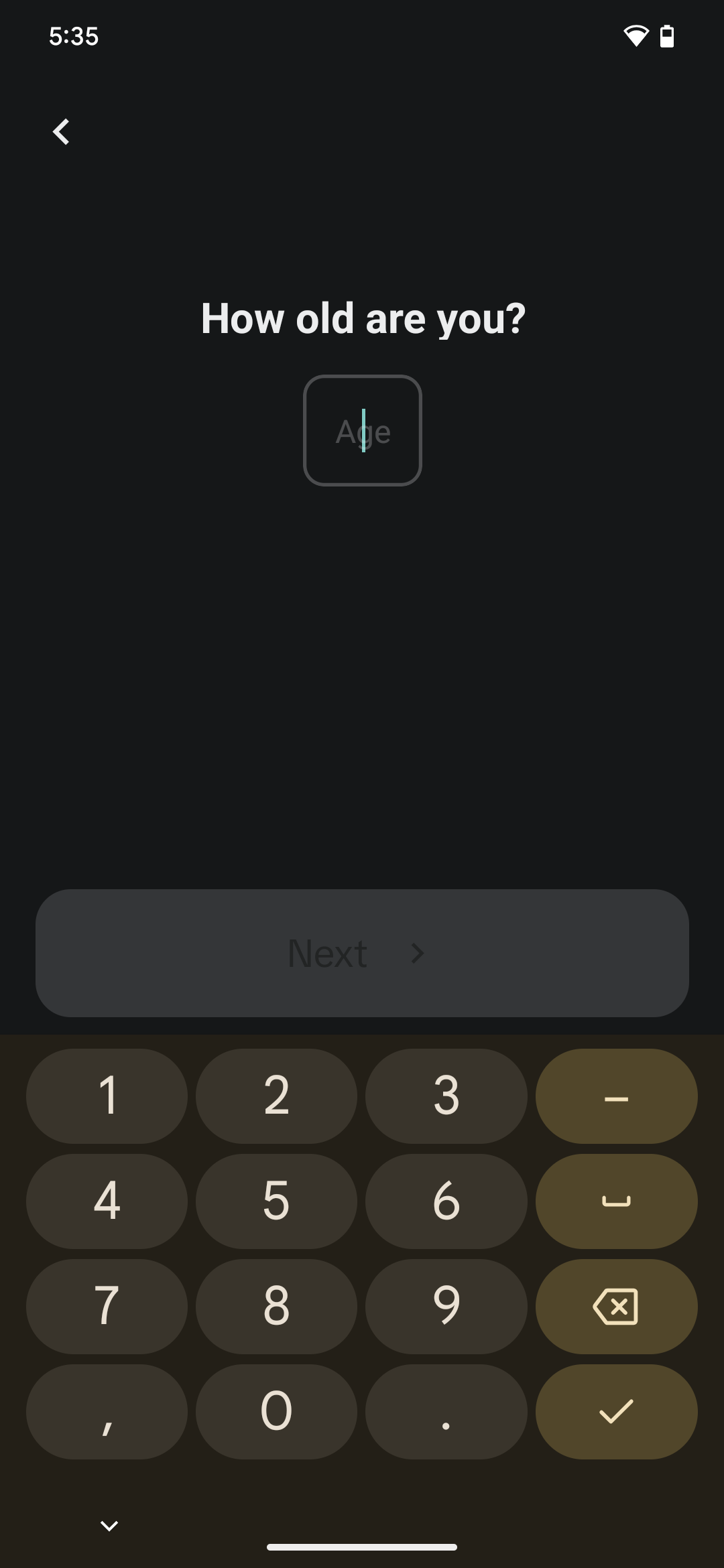 Age text box